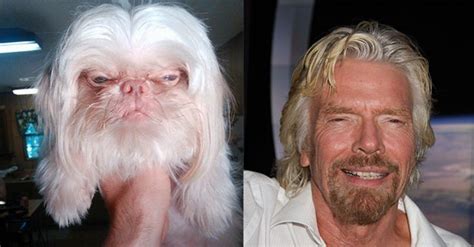 12 Celebrity Snapshots And Their Amazing Canine Look-Alikes ...