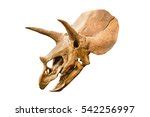 Triceratops Skulls image - Free stock photo - Public Domain photo - CC0 ...