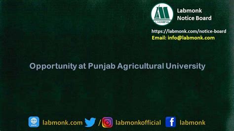 Opportunity at Punjab Agricultural University - Notice Board