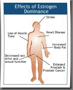 Low and High Estrogen in Males - IYTmed.com