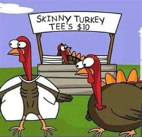 Pin by Lisa Vickers on fabulous fall | Funny thanksgiving memes, Funny turkey pictures ...