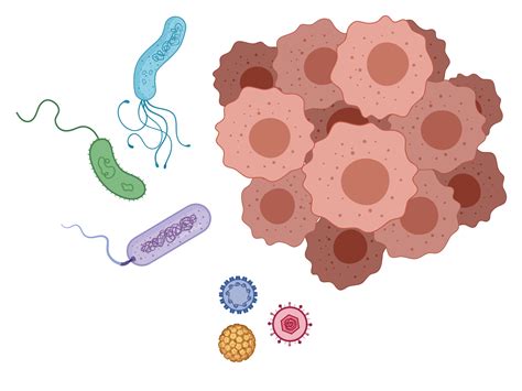 Metagenomics - Infectious agents in Cancer | Genome Sciences Centre