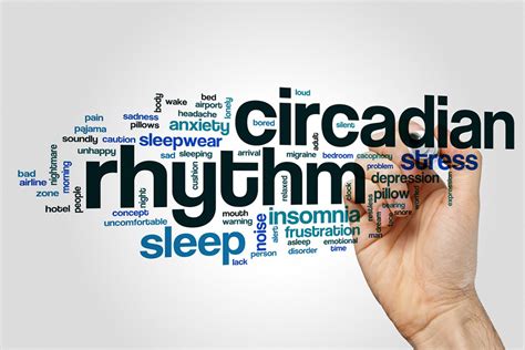 Circadian Rhythm Disorder: Types, Symptoms, Causes, and Treatment - Sweet Sleep Studio