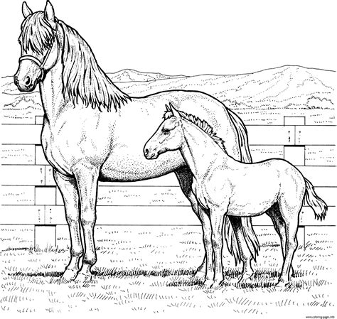 Horse Family Coloring page Printable