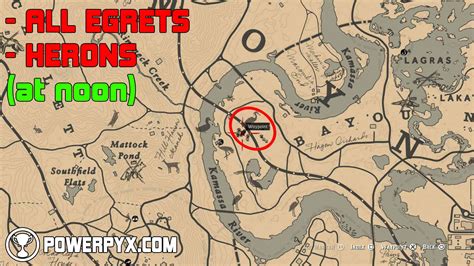 Red Dead Redemption 2 All Exotics Locations