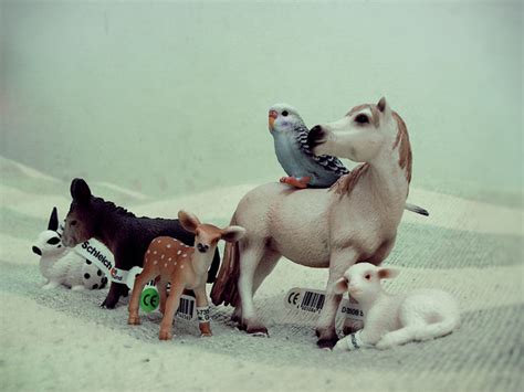 animal farm | some animal figurines i got from singapore | r a c h e l | Flickr