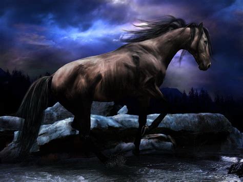 Black Horse Wallpapers - Wallpaper Cave