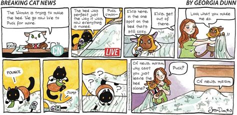 Breaking Cat News by Georgia Dunn for September 03, 2017 | GoComics.com ...