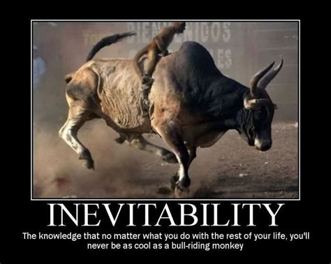 Pin by Baz F on Giggles | Monkeys funny, Bull riding, Motivational posters funny