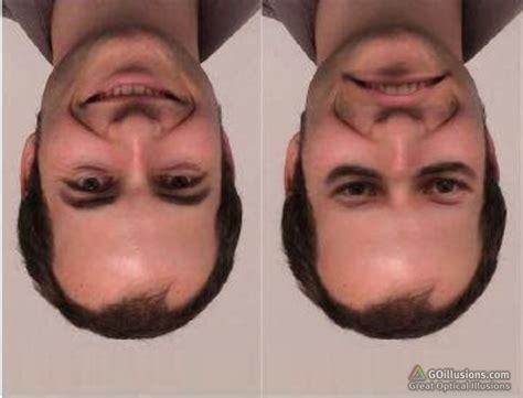 Upside Down Optical Illusions | Images and Photos finder