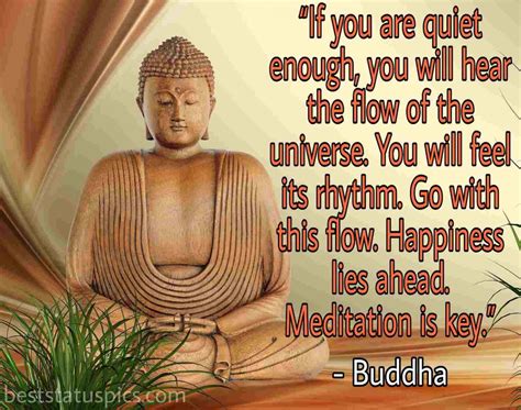 53+ Buddha Quotes On Happiness Images [Updated 2024] - Best Status Pics
