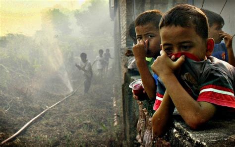 Bikin RI dan Malaysia Ribut, 5 Dampak Serius Ini Bakal Terjadi Akibat Kebakaran Hutan - Boombastis