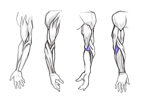 Learn to Draw Arms, Once and for All! – GVAAT'S WORKSHOP