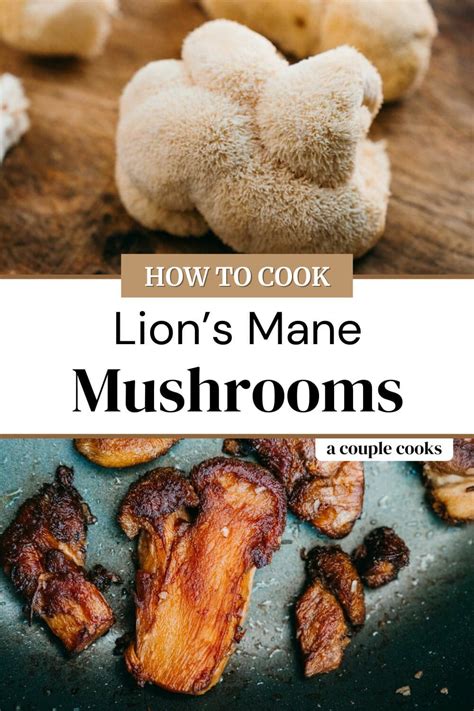 Lion's Mane Mushrooms | Recipe | Lions mane mushroom recipe, Mushroom recipes vegan, Recipes