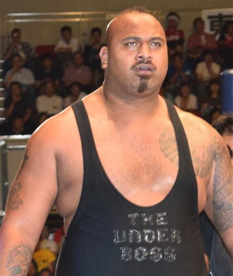 Bad Luck Fale: Profile & Match Listing - Internet Wrestling Database (IWD)