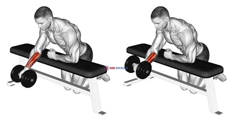 Dumbbell Over Bench One Arm Reverse Wrist Curl - Home Gym Review