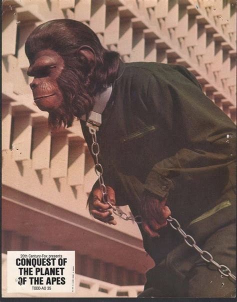 Archives Of The Apes: Conquest Of The Planet Of The Apes (1972) Part 24