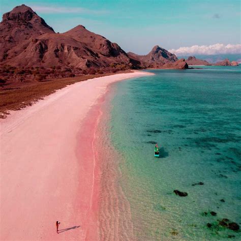 Pink Beach, Lombok, Indonesia | Holidify