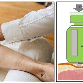 Myofascial tissue stiffness measurement with the IndentoPro. (a)... | Download Scientific Diagram