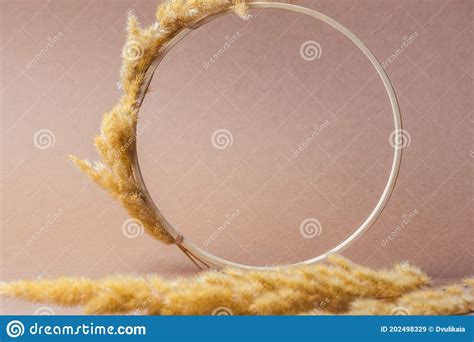 Product Background Abstract Stage Geometric Shape Brown Pastel Colors Stock Image - Image of ...