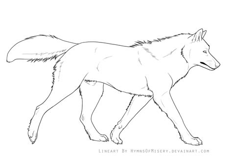 Wolf Lineart - Sketch, Drawing, Canine Art