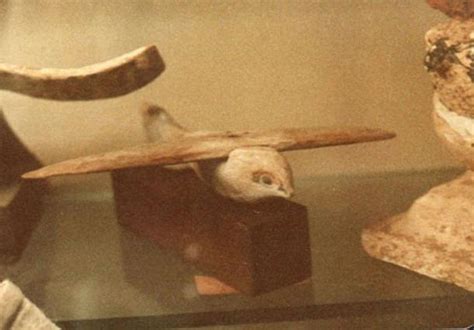 The Saqqara Bird: Did the Ancient Egyptians Know How to Fly? | Ancient ...