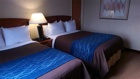 Comfort Inn Brooklyn Downtown Welcome Visitors Who Come for Events at Nearby Barclays Center and ...