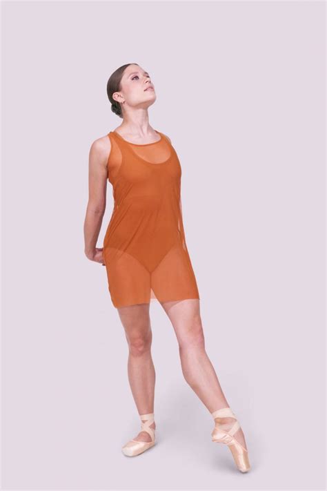 Tonya Copper Mesh Dress | Anina Dancewear