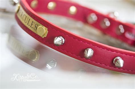 Personalized Spike Dog Collar, Leather Collar With Spikes, Red ...