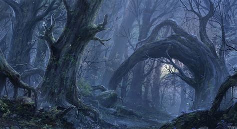 Dark forest | Fantasy forest, Forest wallpaper, Forest art