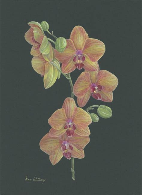 How to paint an orchid in gouache - Artists & Illustrators