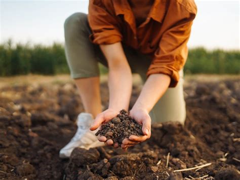 Silt Soil Characteristics And How It Affects Plants | Gardening Know How