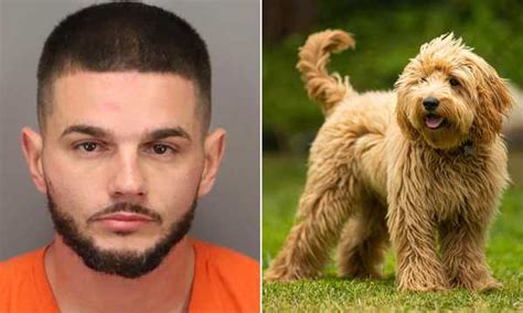 Hell Nah: Florida Man Arrested After Having Sex With A Dog In Public & Damaging Church Nativity ...