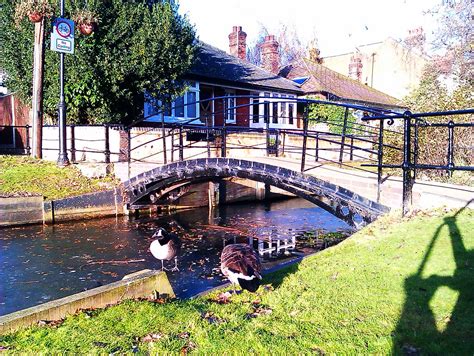 Enfield Park | Looking towards the New RIver | Andrew Parsons | Flickr