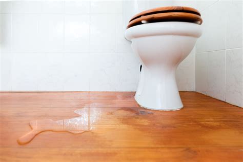 Common Toilet Problems And Solutions - DwellHack