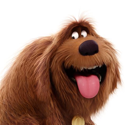 What Dog Breed Is Duke From Secret Life Of Pets
