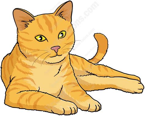 Orange Cat With Yellow Eyes Lying Down And Looking Ahead | Cats illustration, Grey tabby cats ...