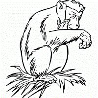 Cool outline crying baboon head tattoo design - Tattooimages.biz