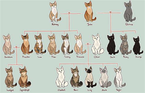 Firestar family tree, by climbstudio | Warrior cats, Warrior, Cats