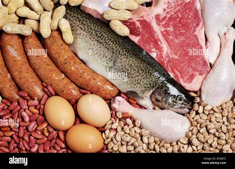 Assortment of meats and meat alternatives high in iron and protein Stock Photo - Alamy