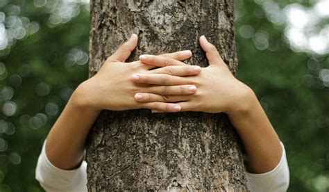 Hugging Trees is Good for Our Health: This is Why