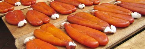 What is bottarga? How Does It Taste Like?