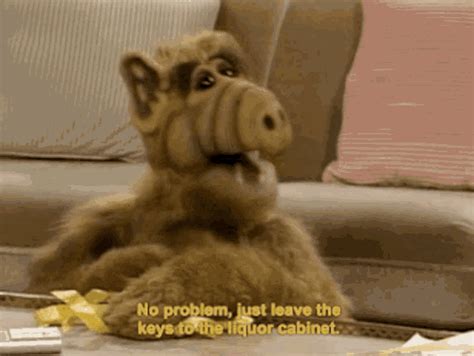 Alf No Problem GIF - Alf No Problem Just Leave The Keys To The Liquor Cabinet - Discover & Share ...