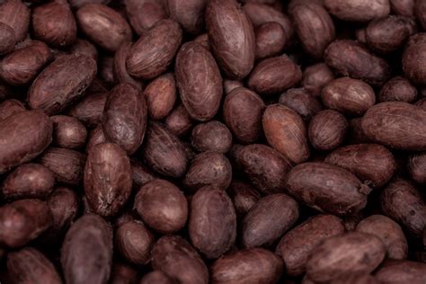 What to Use Cocoa Beans For, and Why? - Santa Barbara Chocolate