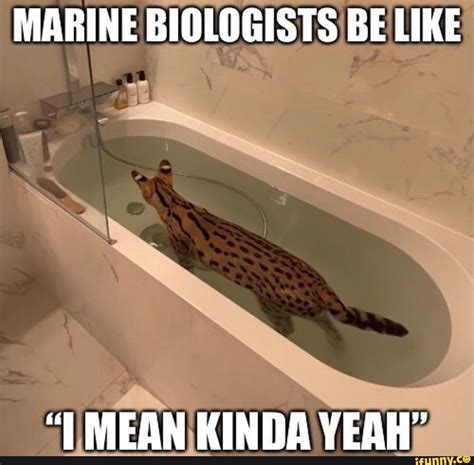 MARINE BIOLOGISTS BE LIKE "TT MEAN KINDA YEAH" - iFunny | Fishing memes ...