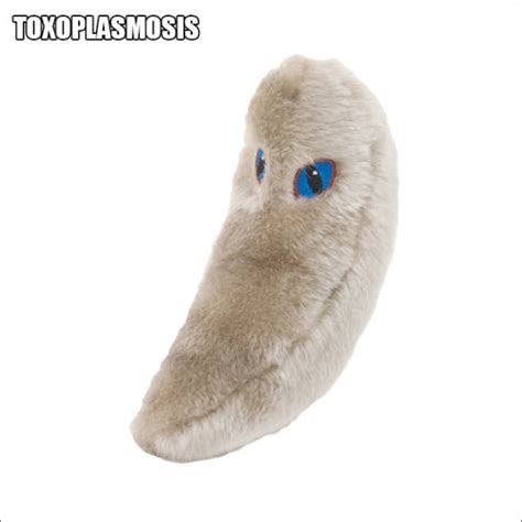 Cute Plush Versions Of Serious Disease Bacteria (20 pics) - Izismile.com