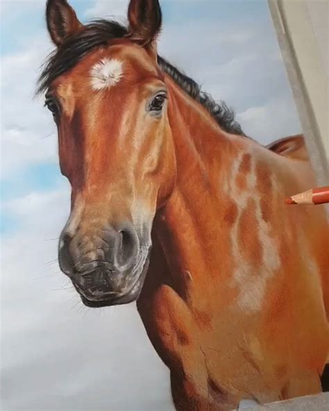Painting Drawing Realistic Animal Colored Art By satuma_art [Video] | Painting & drawing, Color ...