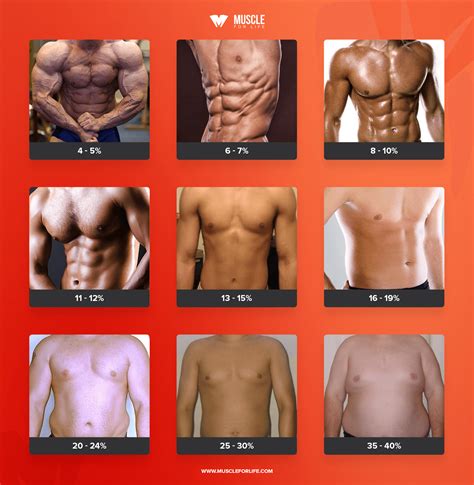 https://www.muscleforlife.com/how-to-measure-body-fat-percentage/ Ab Workout Men, Best Ab ...