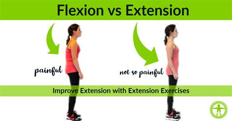 Back Extension Progressions For Lower Back Pain and Flexibility ...