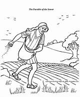 The Parable Of Sower Coloring Pages 1  Parables Jesus sketch template